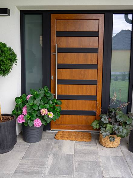 Entrance of a modern house gray wooden door white walls and flower pots with plants